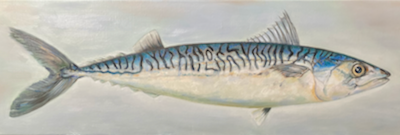 Schilderij in olieverf met een grote makreel in grijs blauwe tinten